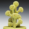 Chartreuse Bonsai