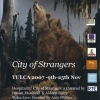 Tulca Festival Galway 9th - 26th November