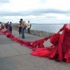 Red Weight 2006