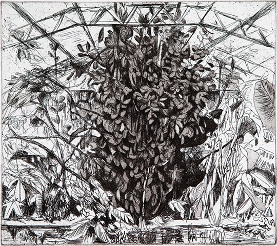 Hothouse