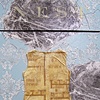 Nest