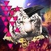 tigercrow