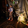 A Thousand Thousand Slimy Things, An Aquatic Spectacular of Conservation and Change