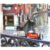 Sunday in Venice - Mary Harris Photography