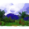 Kauai Landscape - Mary Harris Photography