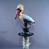 Rainbow Pelican with Birdbath