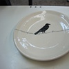 bird on a wire