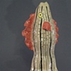 detail of Reddened Black Fish