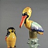 Rainbow Pelican