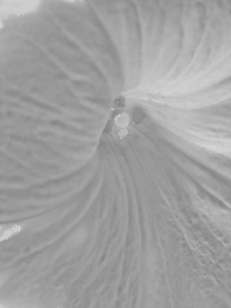 White on White