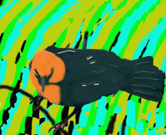 same image available under animals