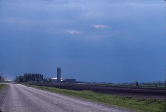 Modern Farmstead