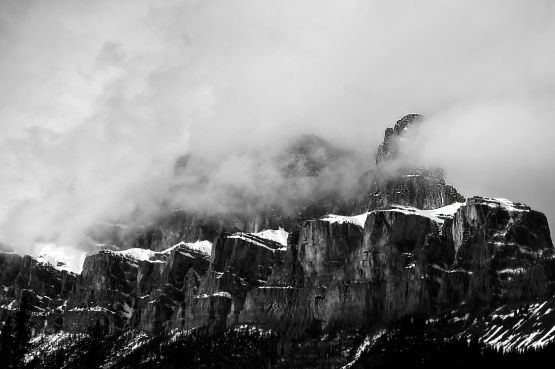 another tribute to AA in B/W