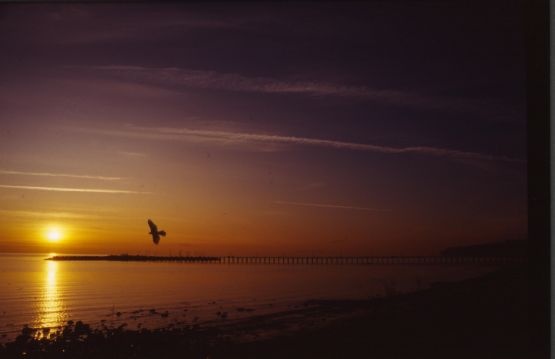 Flying to the Sun