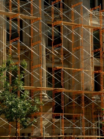 Orange Tree in the city