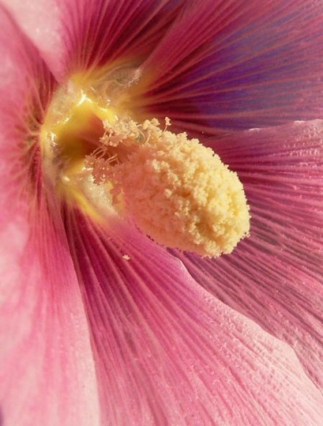 Aftre Sex