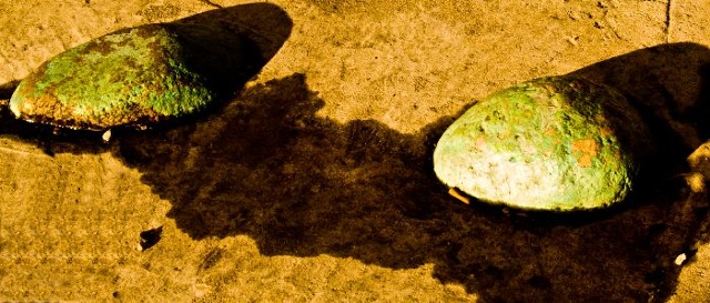 Rocks & Oil