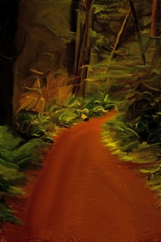 This is on the trail to the most amazing place in BC