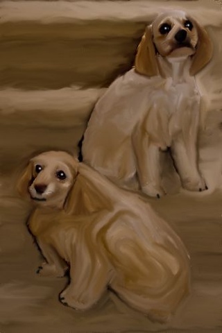 Couple 'a Spaniels