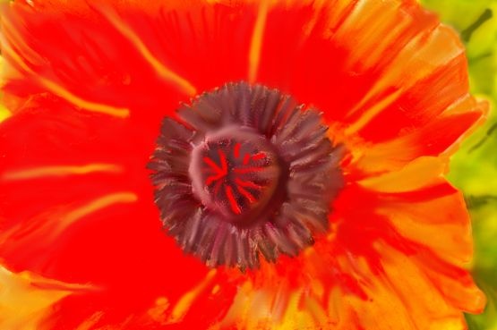 Red Flower Painted