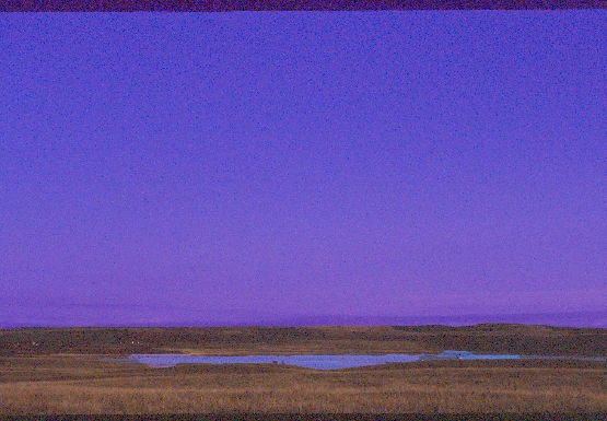 Prairie Slough at Night