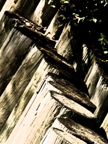 Fence