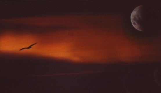 Flying to the Moon