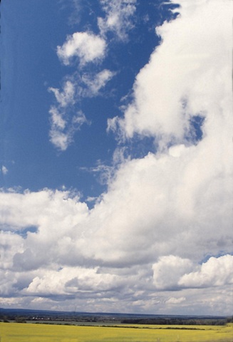 Tall Sky