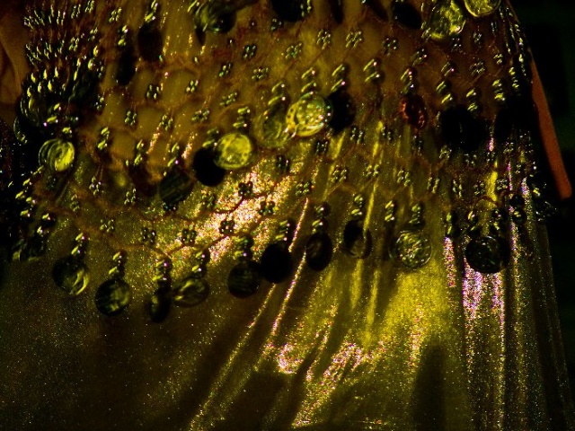 Belly? Dancer