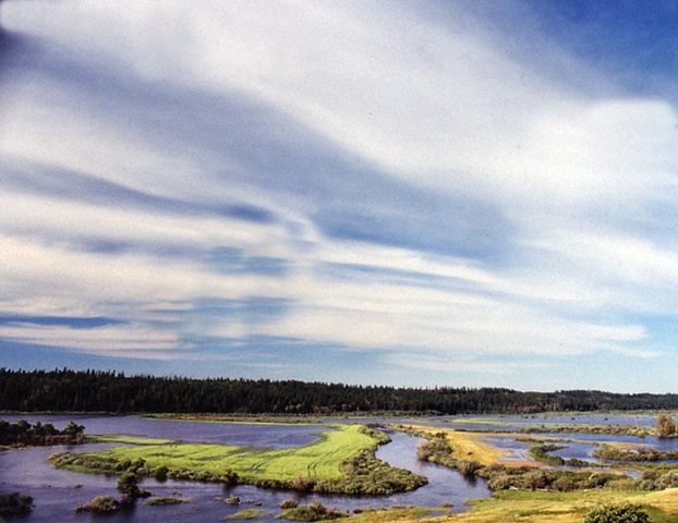 Swamp under Clouds