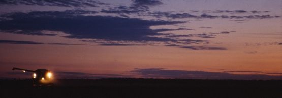 Threshing at Sunrise