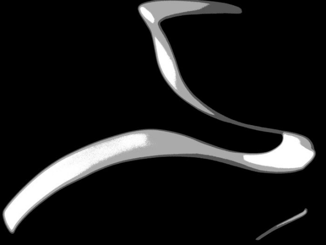 B/W swan