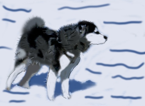 Dog in the Wind 2