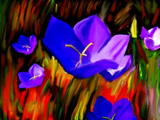 Doug's Garden