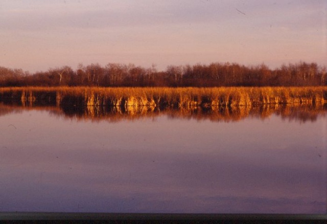 Oak Hammock Marsh