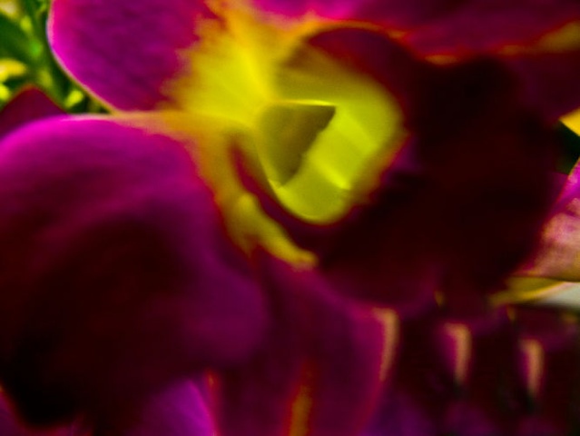 Soft Purple
