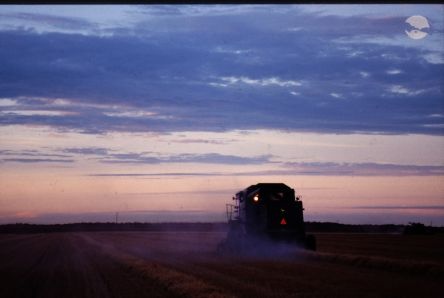 Harvest Moon