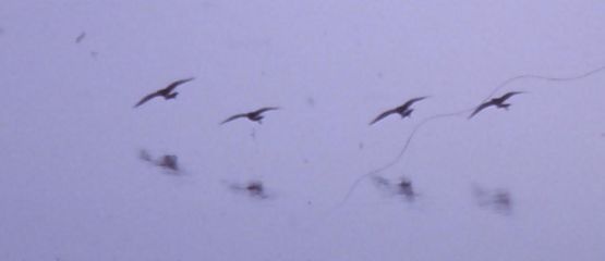In Formation