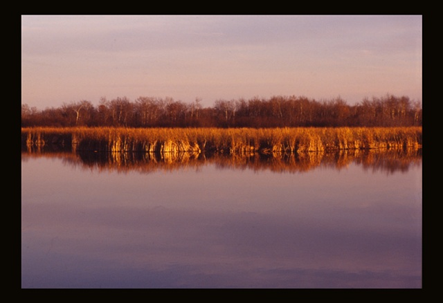 Oak Hammock Marsh