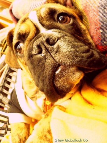Otto