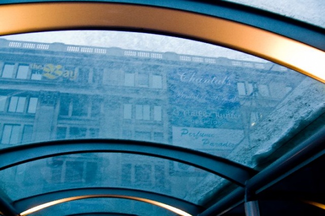 The Bay through a muddy ceiling of a Bus Shelter