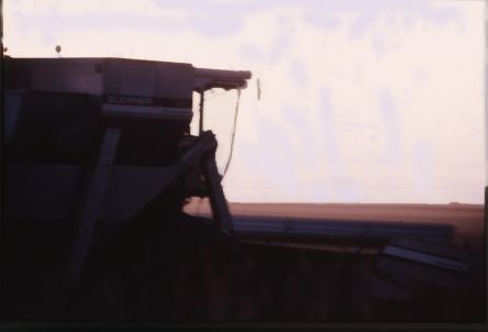 Threshing under the Sun