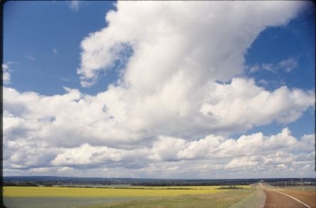 Road to the Sky