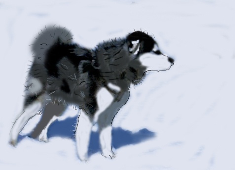 Dog in the Wind