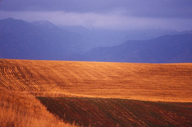 Field & Mountains