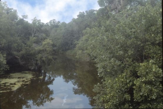 LaSalle River