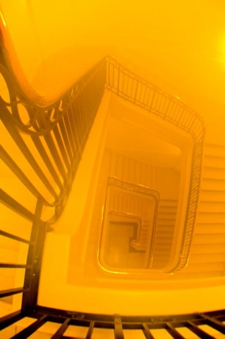 Into the Fog