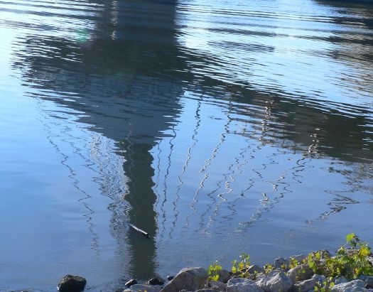 Esplinade in reflection