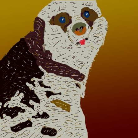 Meercat