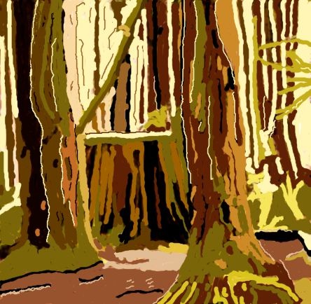 from a photo taken in the rain forest in the Sunshine Coast north of Vancouver